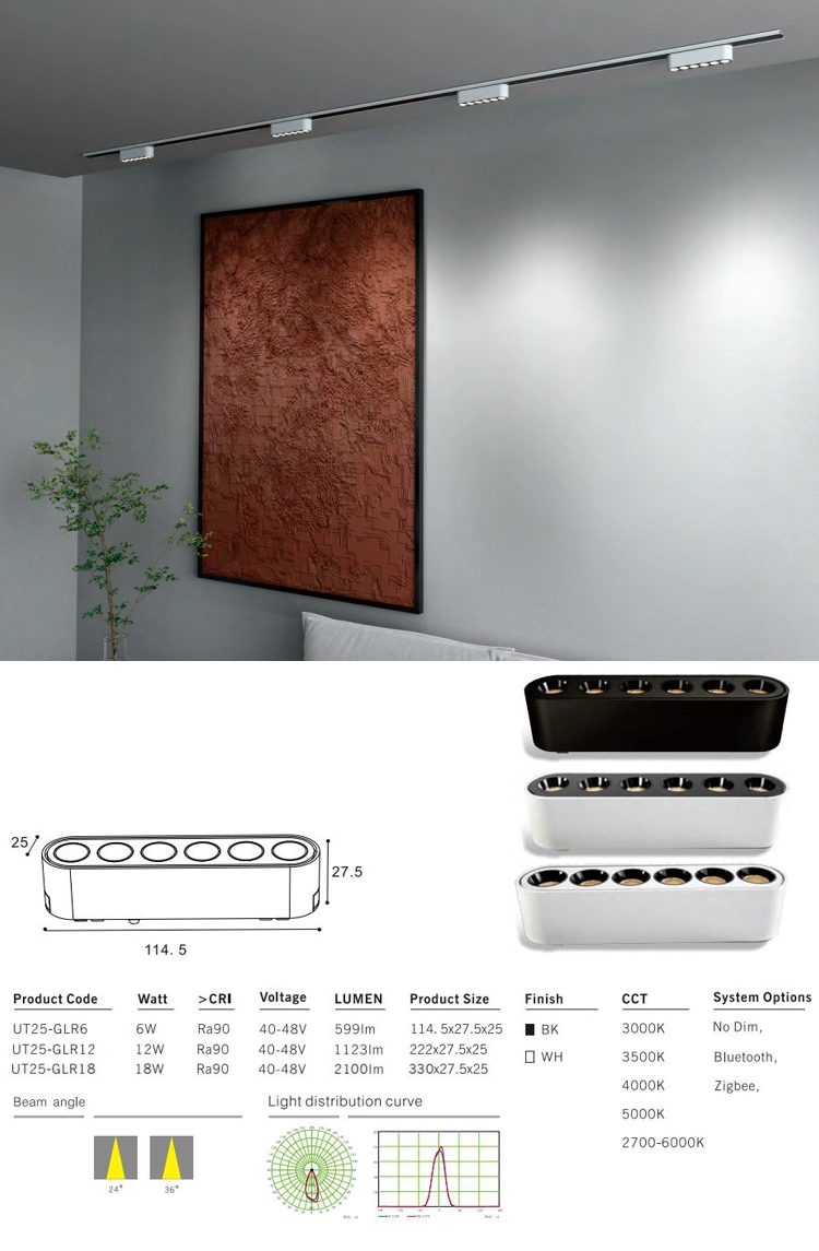 Commercial Lighting Spotlight Magnetic LED Light System with Ultra-Thin Magnetic Track Rail